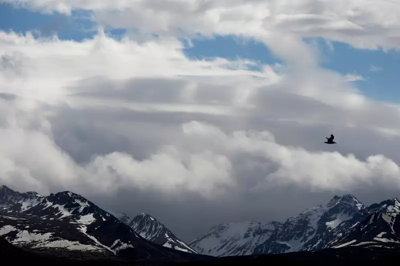 Alaska State Troopers Rescue Stranded Hiker After Dramatic Facebook Plea