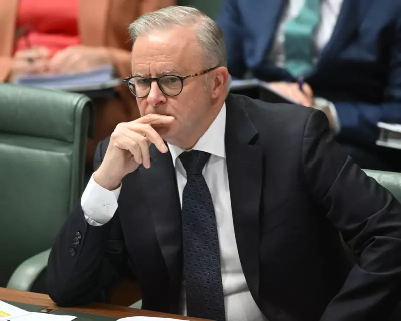 Albanese Condemns Israel for Alleged Breach of International Law, Rules Out Immediate Recognition of Palestinian State