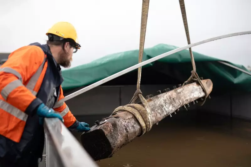 Ancient Shipwreck Unearthed on Orkney's Sanday Island Reveals Scotland's Maritime Secrets
