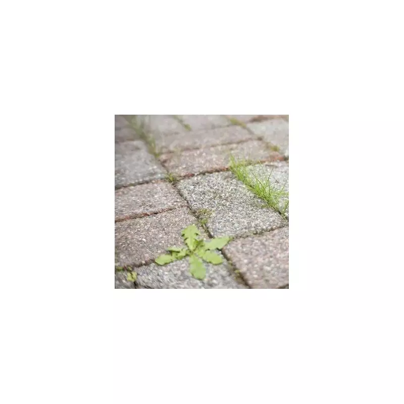 Banish Patio Weeds in Just 24 Hours with This Simple Hack