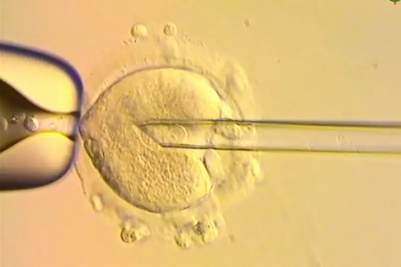 Breakthrough in IVF: World's First Babies Born Using Three-Person DNA Technique