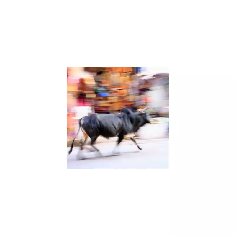 British Expat Gored by Bull in Front of Horrified Tourists in Spain