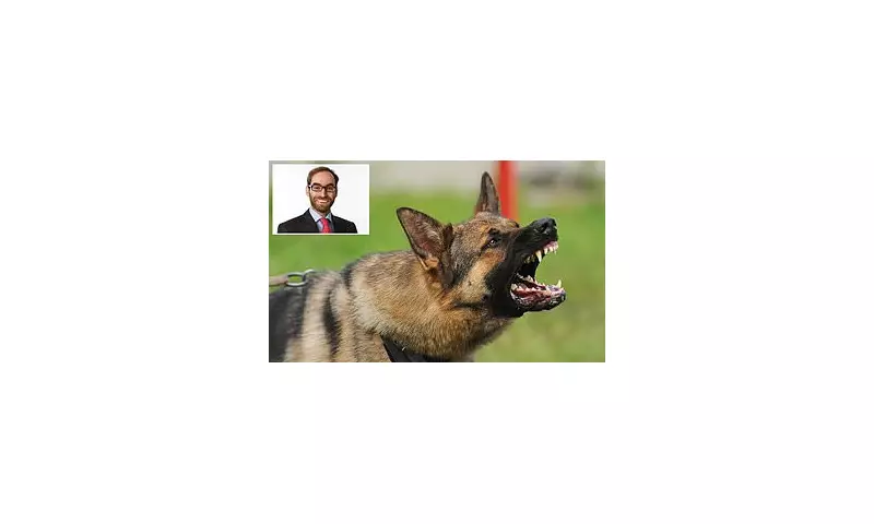 City Banker Takes Legal Action Against Neighbours Over 'Noisy' Guard Dogs