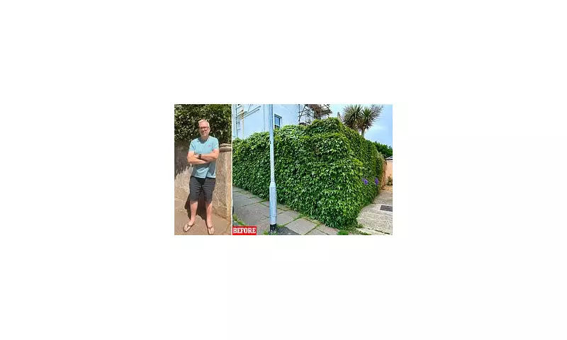 Council Worker Sparks Outrage After Chopping Down Homeowner's Ivy Without Permission