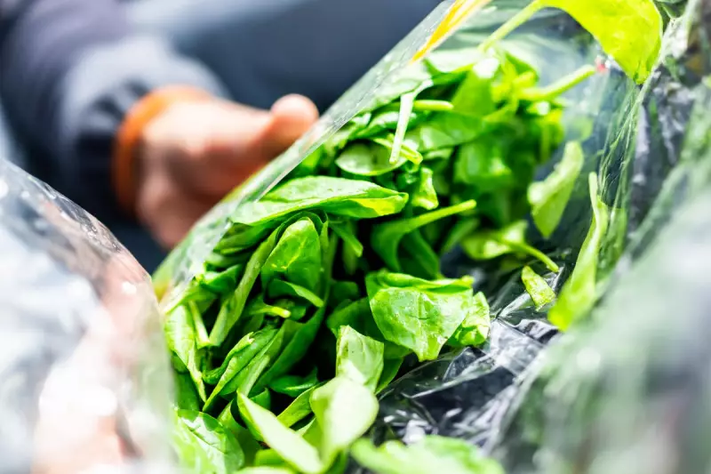 Deadly Foodborne Illnesses: How Salmonella, E. Coli, and Listeria Threaten Your Health