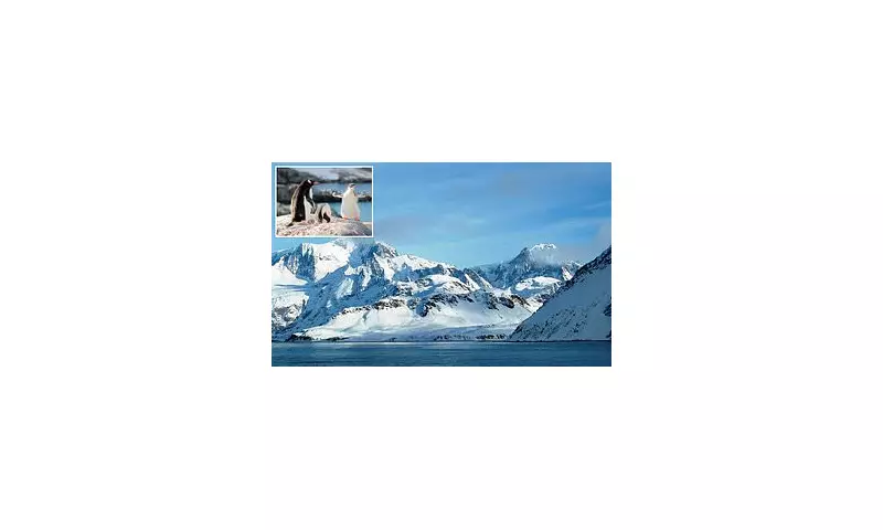 Discover Antarctica: The Land Where the Sun Never Sets