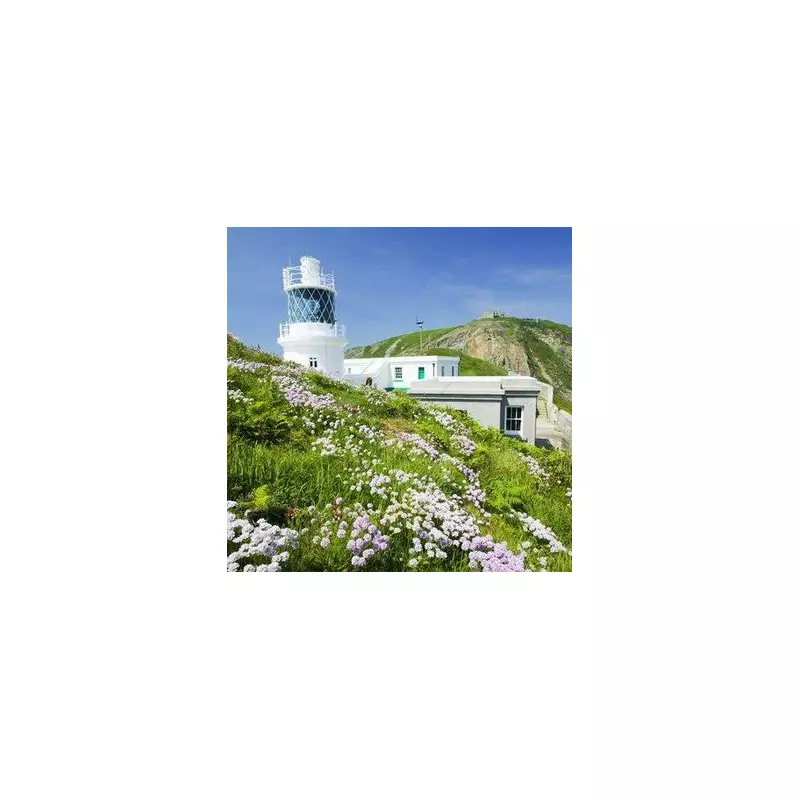 Discover Lundy Island: The UK's Hidden Gem for a Perfect Staycation