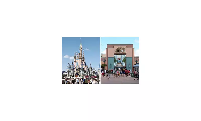 Disney World Chaos: Half the Park Shut Down After Major Chemical Spill