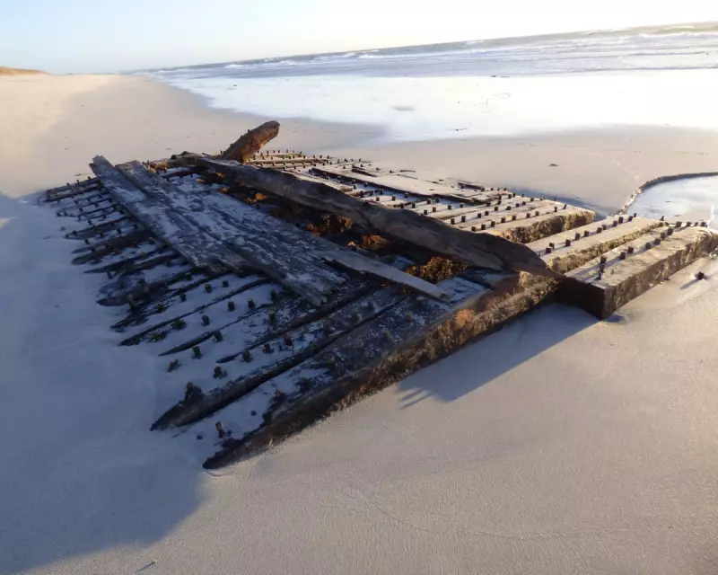 Divers Uncover 17th-Century Warship HMS Hind Off Orkney Coast in Historic Discovery