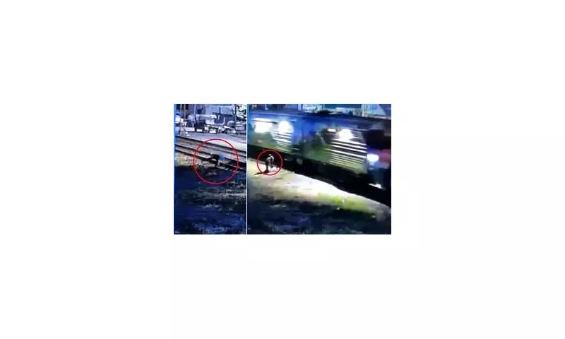 Dramatic Rescue: Man Pulled from Train Tracks Seconds Before Oncoming Train