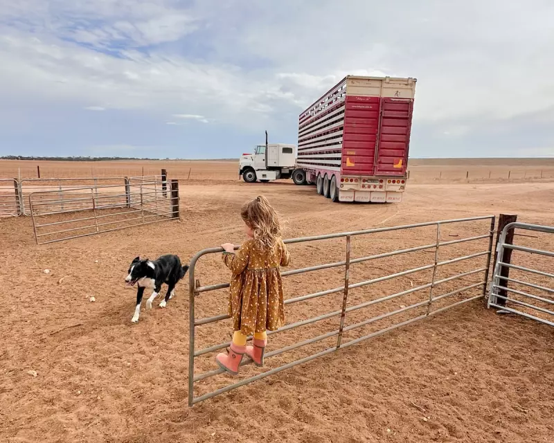 Drought-Stricken South-East Australia to Receive Much-Needed Rainfall from Incoming Cold Front