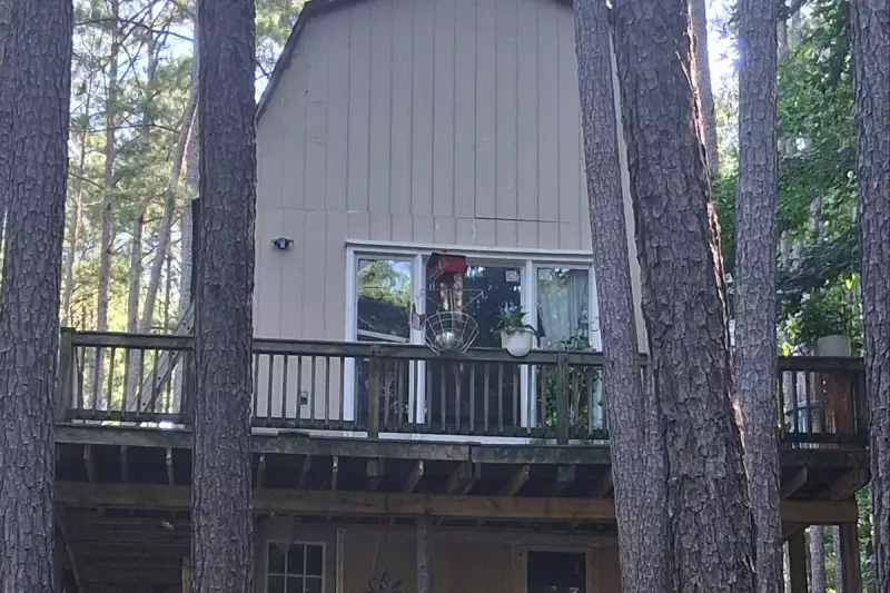 Family Transforms Home Depot Shed into Stunning Tiny Home – See How They Did It!