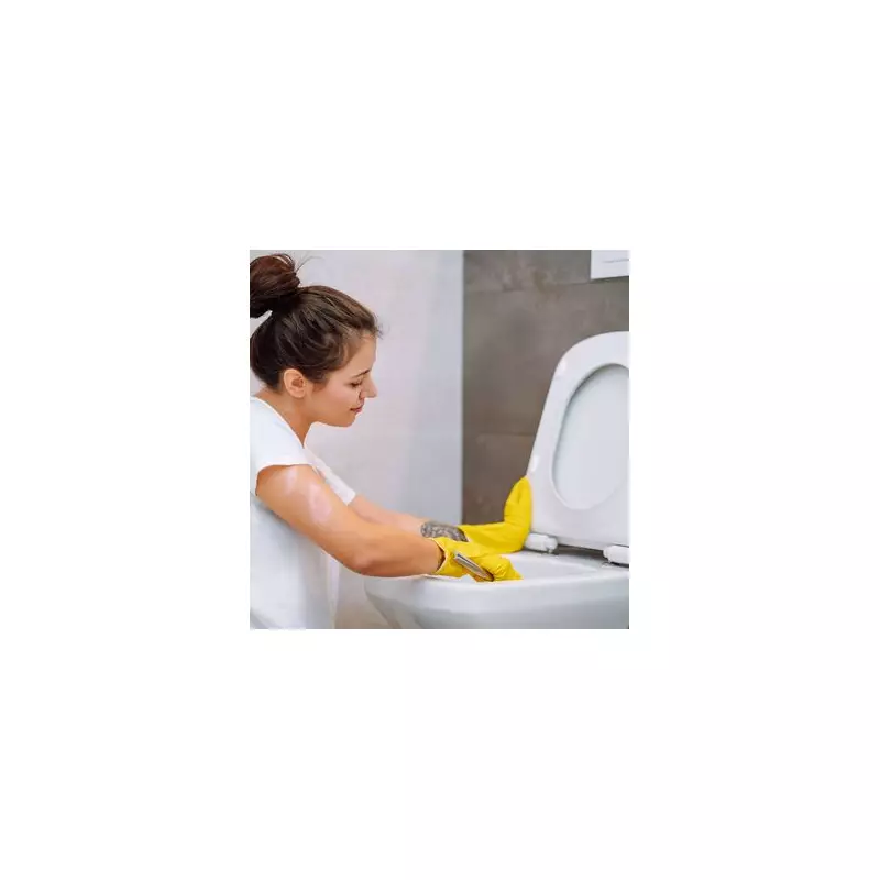 Forget Expensive Cleaners: This Simple Trick Banishes Toilet Seat Stains Instantly