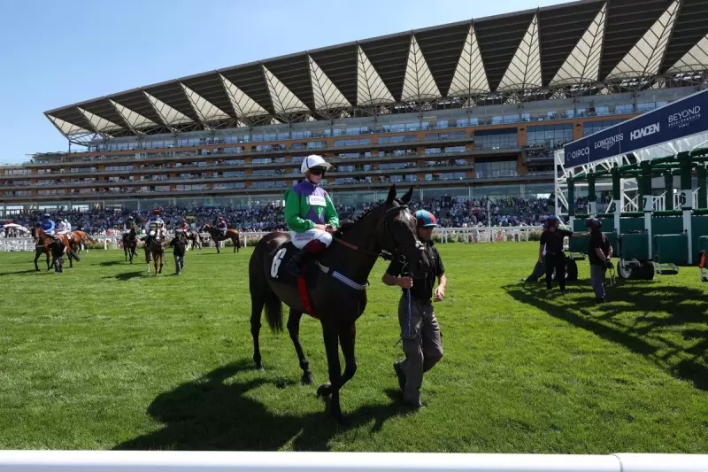 Friday's Top Horse Racing Tips: Best Bets for Ascot, York, Sandown & Thirsk