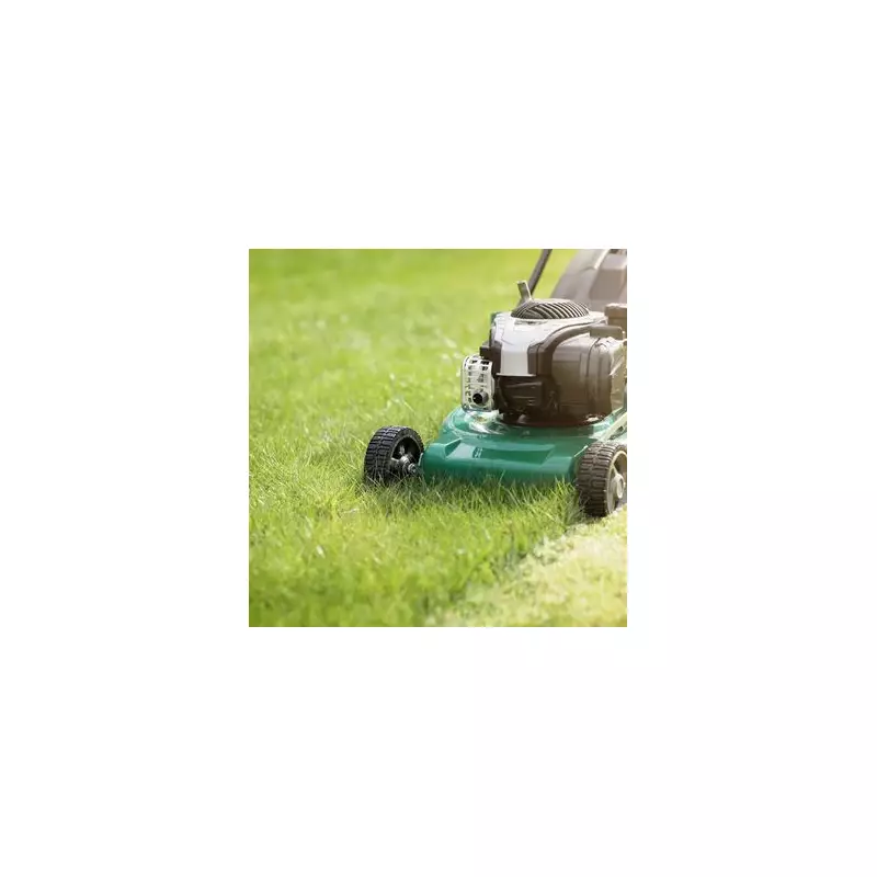 Gardeners Ditch Grass for Clover: The Cheaper, Easier Lawn Alternative Taking Over UK Gardens