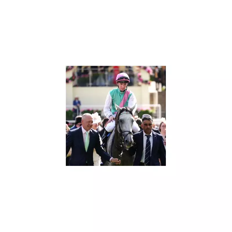 Goodwood Gold Cup Shocker: Favourite Falls Flat as Underdog Triumphs