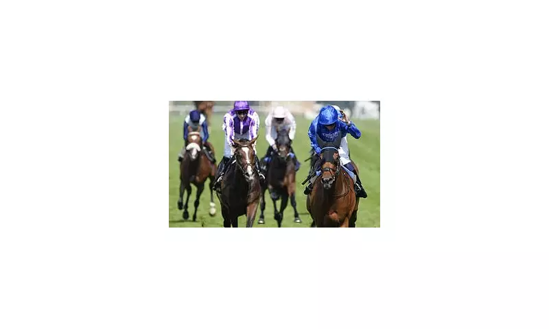 Goodwood's Glorious Four: Top Picks for Punters at the Festival