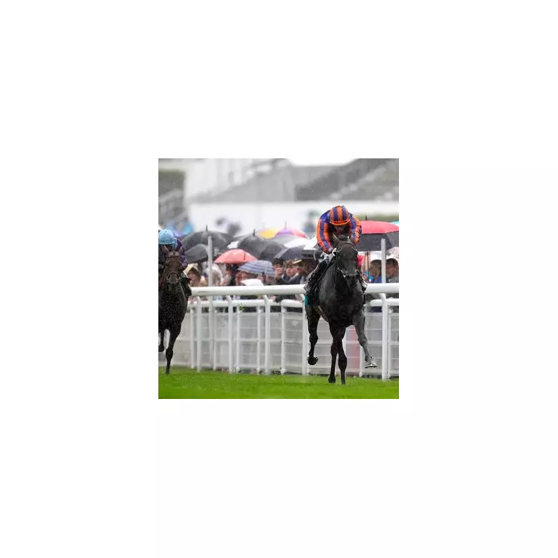 Goodwood's Nassau Stakes Disrupted by Thunderstorms: Racing Chaos as Rain Halts Event