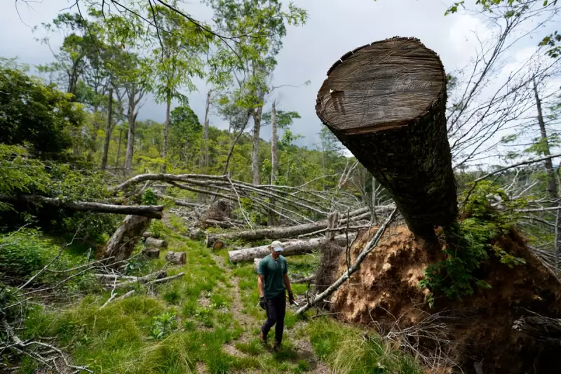 Hiker Completes Epic 3,500-Mile Journey Along Appalachian Trail and Beyond