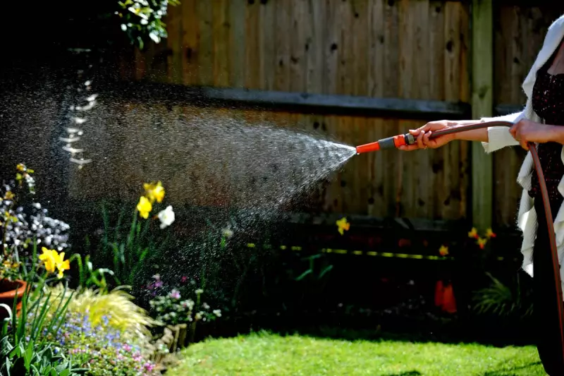 Hosepipe Ban: What You Need to Know About Fines, Rules, and Costs