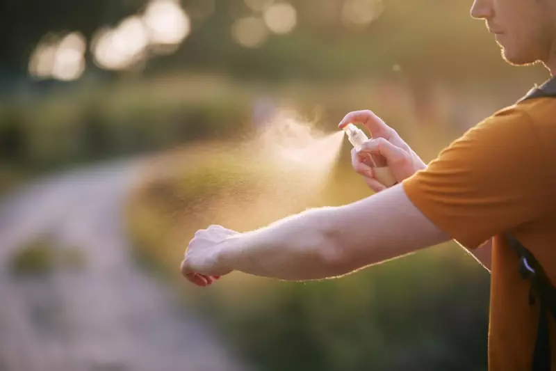 How to Treat Insect Bites and Stings: Essential First Aid Tips for Summer