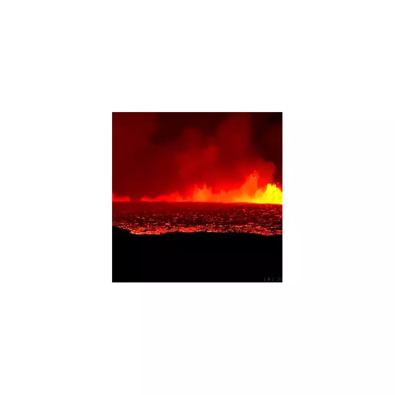Iceland's Sundhnúkur Volcano Erupts: Spectacular Lava Flows and Evacuations Underway