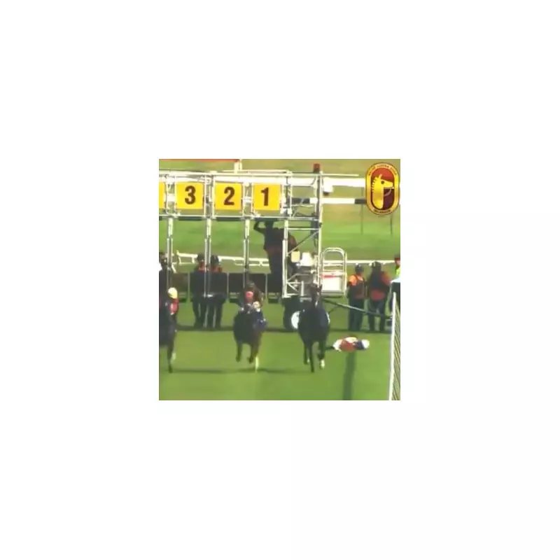 Jockey Banned for 12 Months After Shocking Incident in Malaysia – What Happened?