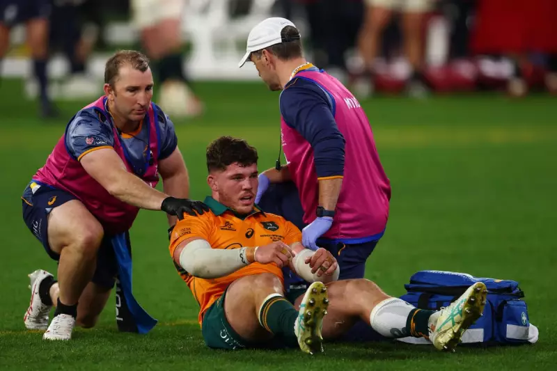 Joe Schmidt Names First Wales Squad: Jac Morgan and Carlo Tizzano Among Key Picks