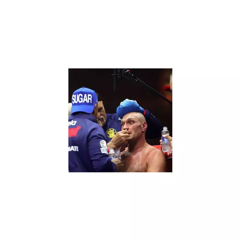 John Fury's Explosive Warning to Tyson: 'Don't Fight Wilder Again!'