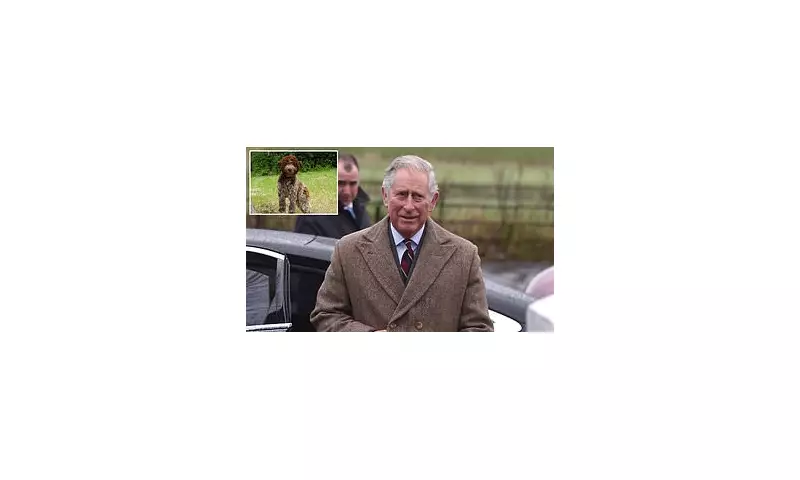 King Charles Launches Stylish Tweed Jackets for Dogs – A Royal Fashion Statement for Your Pooch!