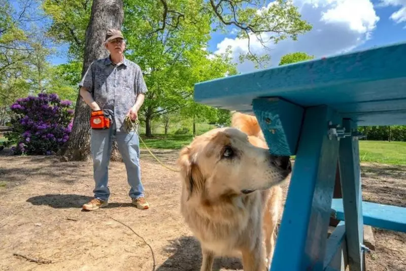 Meet the Canine Heroes Sniffing Out Spotted Lanternflies to Save UK Agriculture