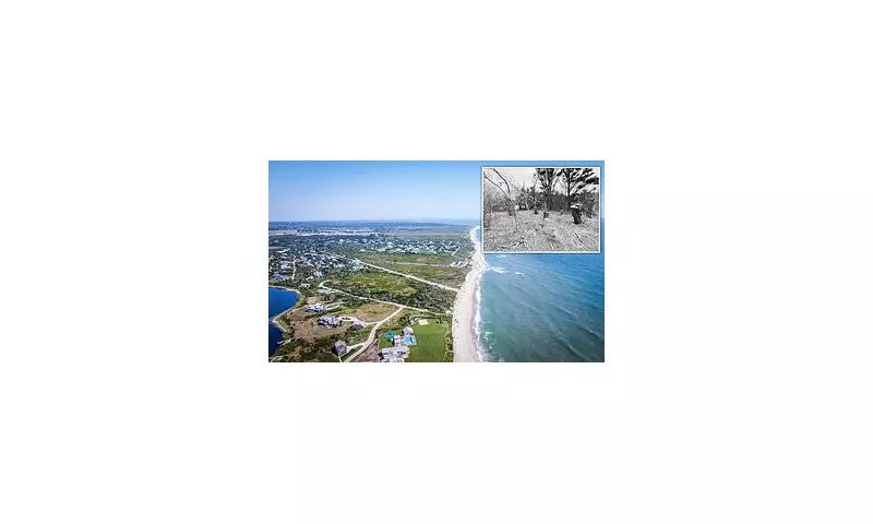 Nantucket Tree Vandal Charged: Mystery Surrounds Motive Behind Historic Tree Destruction
