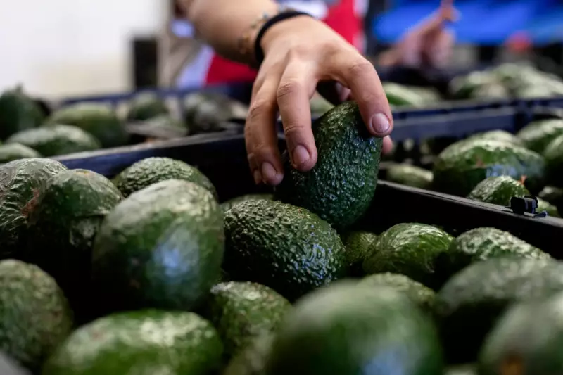 National Avocado Day: Discover the Surprising Health Benefits and Rich History of This Superfood