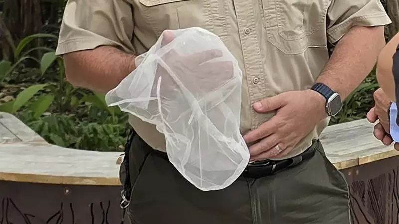 Northern Territory Reintroduces Spit Hoods in Youth Detention Despite Controversy