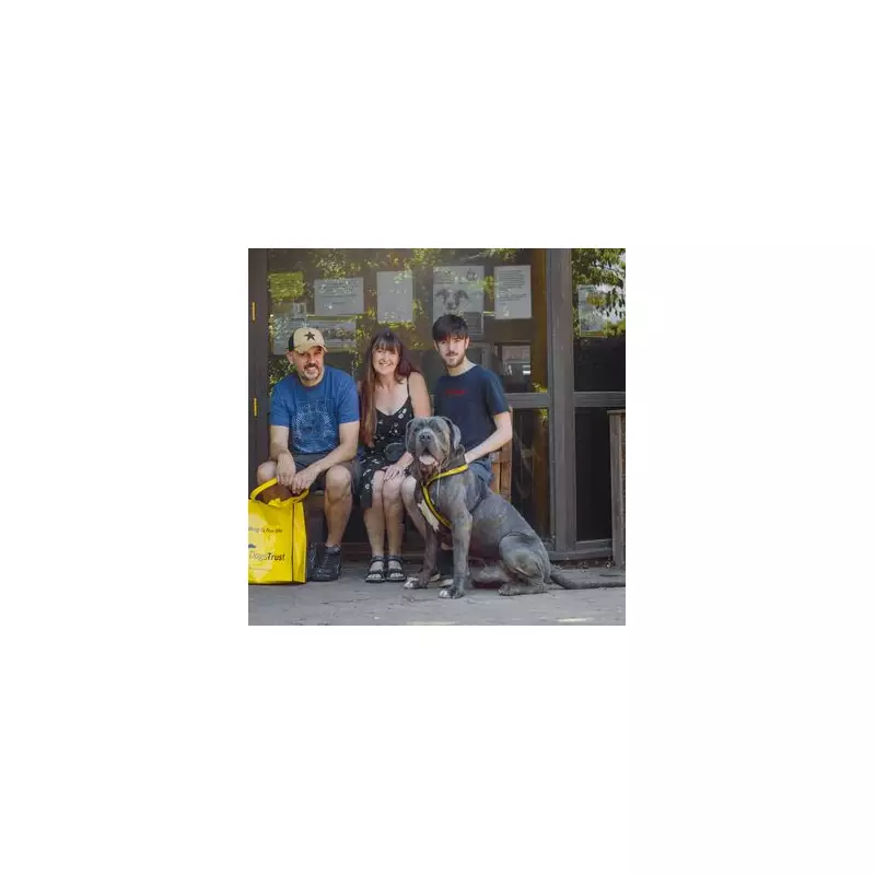 Pete Wicks Overjoyed as Beloved Dog Makes Miraculous Recovery After Vet's Grim Diagnosis