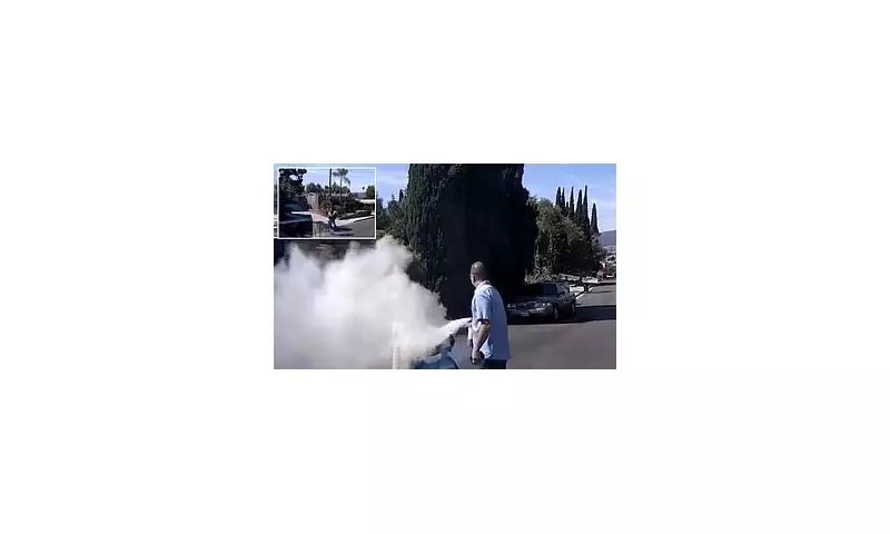 Plumber's Heroic Rescue: Woman Saved from Deadly Bee Swarm Attack in California