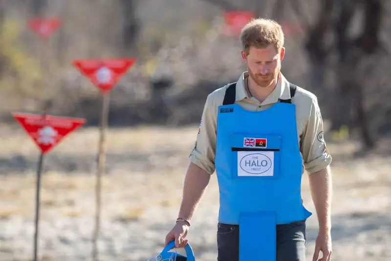 Prince Harry Draws Parallels Between Princess Diana and Meghan Markle in Angola Visit