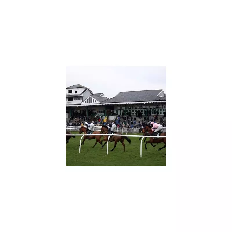 Racing Tipsters' Top Pick: This 5-1 Shot Could Be Your Golden Ticket at Cheltenham!