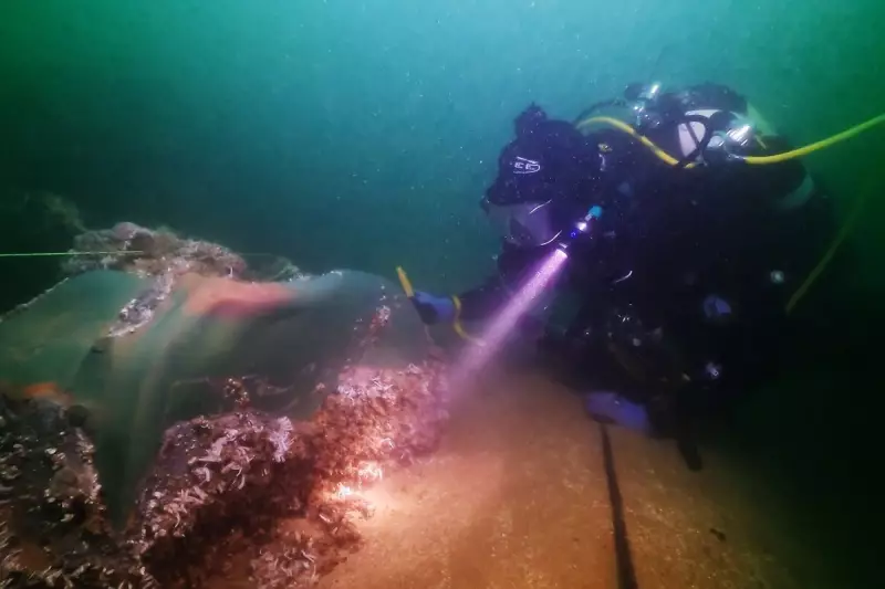 Rare Tudor-Era Shipwreck Discovered Off Northumberland Coast: A Glimpse Into England's Maritime Past