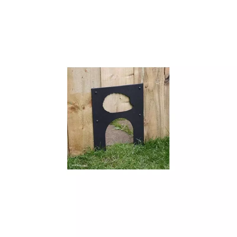 RSPCA Urges Gardeners to Drill Holes in Fences to Help Hedgehogs Survive