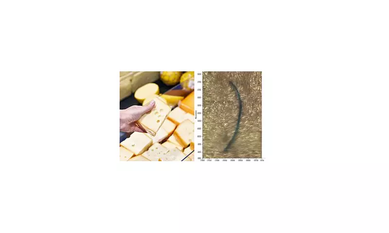 Scientists Sound Alarm: Your Favourite Cheese Could Be Harming Your Health