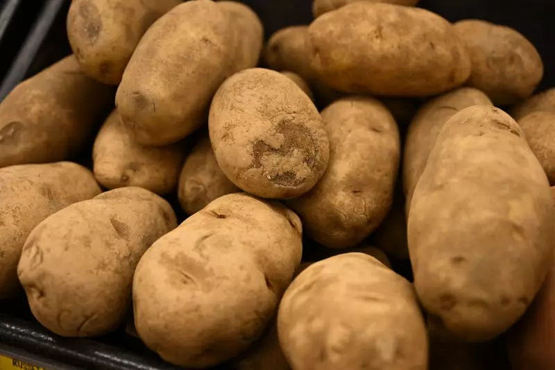 Scientists Uncover the Evolutionary Secrets of Tomatoes and Potatoes