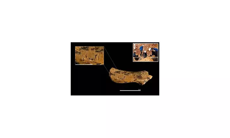 Shocking Discovery: Ancient Human Ancestors Practised Cannibalism on Children