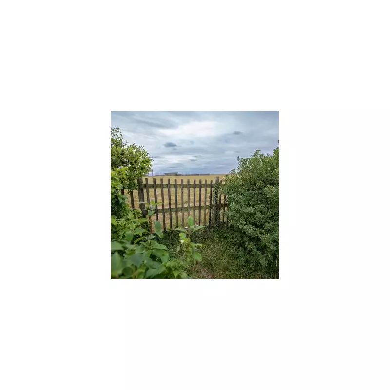 Shocking Security Flaw: Flimsy Fence Exposes UK Air Base to Potential Threats