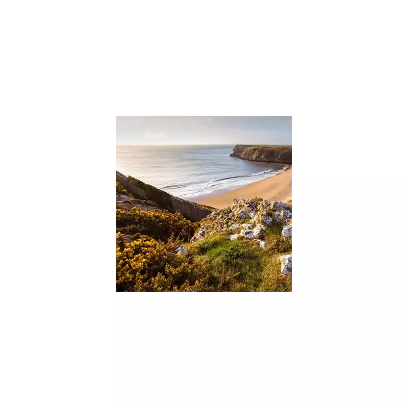 Stunning UK Beach Just 20 Minutes from London – Perfect for a Quick Escape