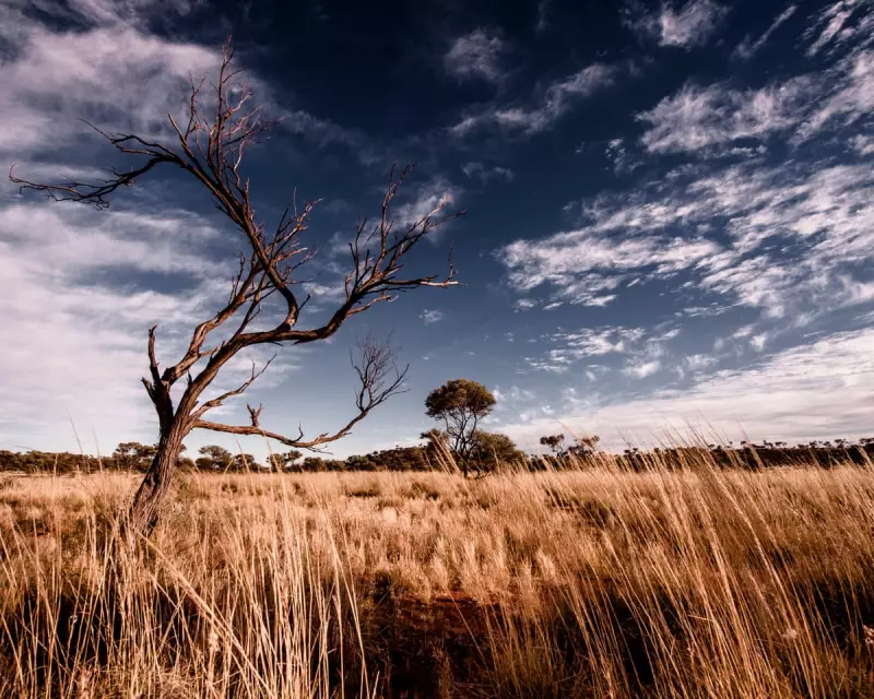 The Leap: A Gripping Crime Novel Set in Australia's Untamed Landscape