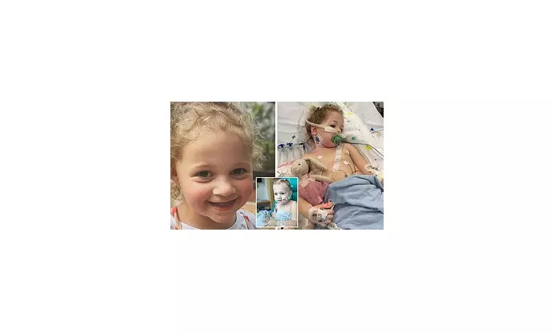 Toddler's Terrifying Ordeal: Swallowing Magnets Sparks Emergency Surgery in Queensland