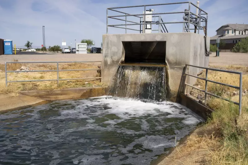 Toxic PFAS Chemicals Found in UK Wetlands: Wastewater Effluent Blamed