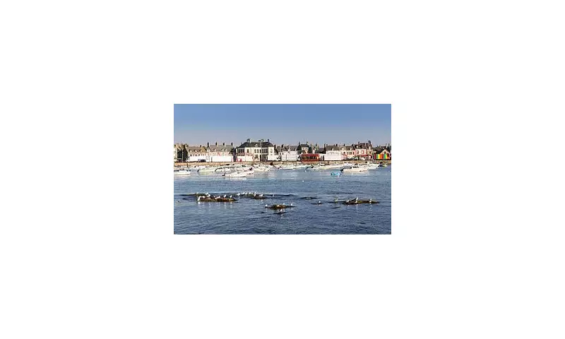 Tragedy in Normandy: British Woman Found Dead Near Historic Barfleur Church