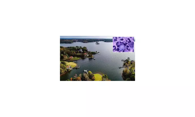 Tragedy in South Carolina: Child Dies from Rare Brain-Eating Amoeba After Lake Swim